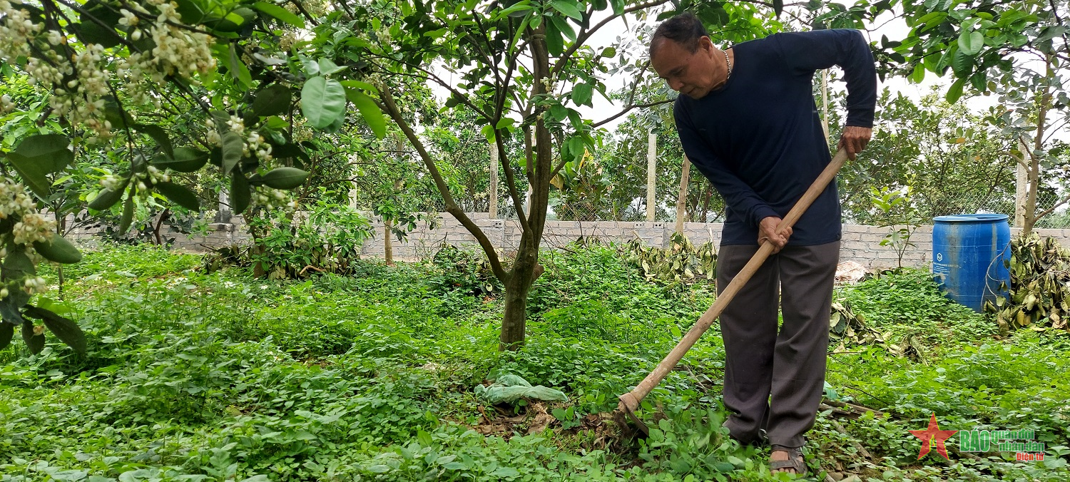 Phát triển nông nghiệp, nông thôn ở huyện Thạch Thất (Hà Nội)